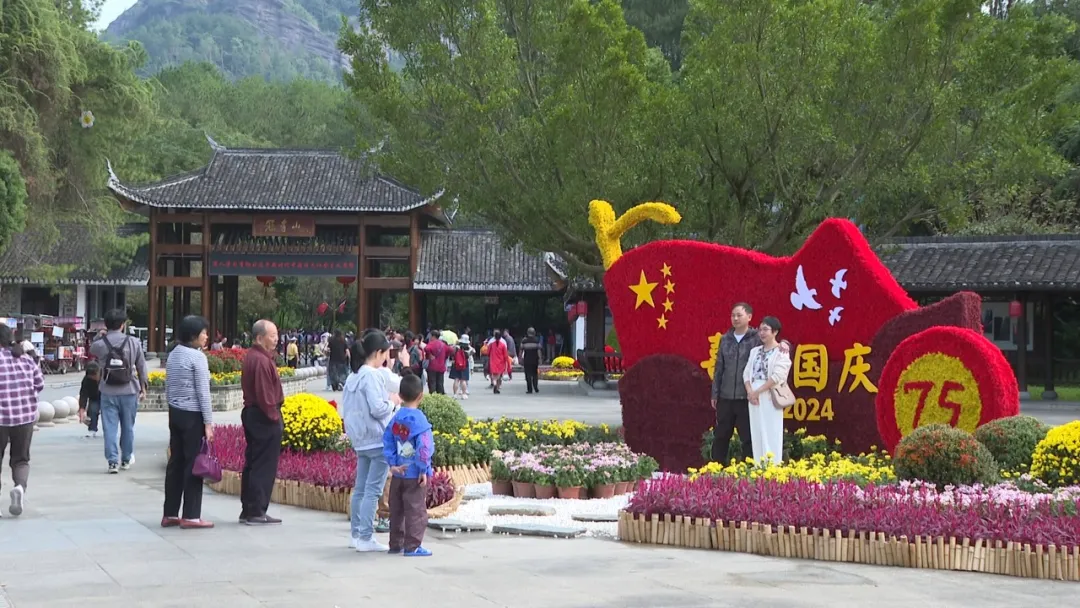 连城：两万株菊花盛放  扮靓景区引客来