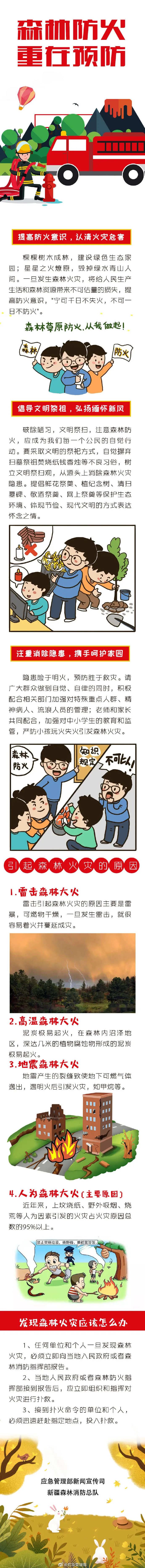 【防灾减灾】森林防火 重在预防