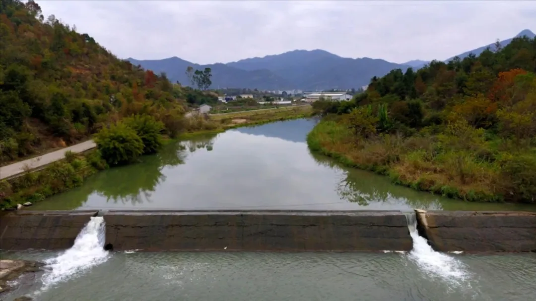 百日攻坚在行动 | 连城庙前镇：用好人工湿地 打造秀美村庄