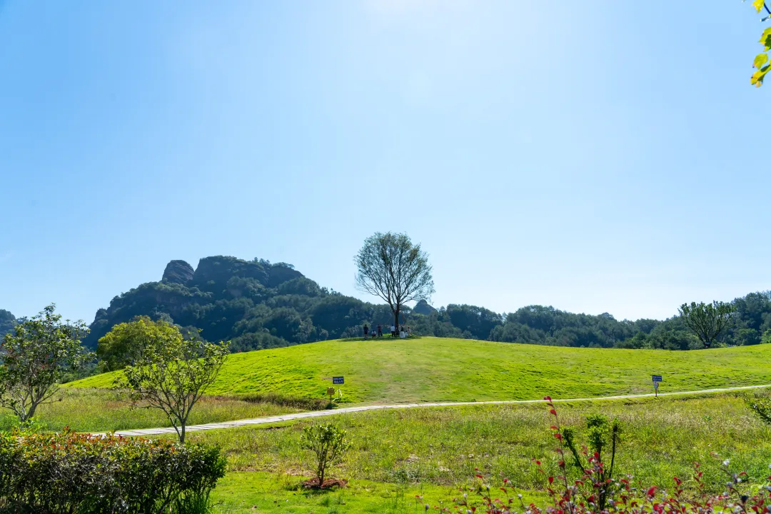 连城：彩票公益金赋能民生文旅 非遗生态融合焕发新活力