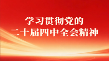 学习贯彻党的二十届四中全会精神