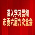 深入学习贯彻市委六届九次全会