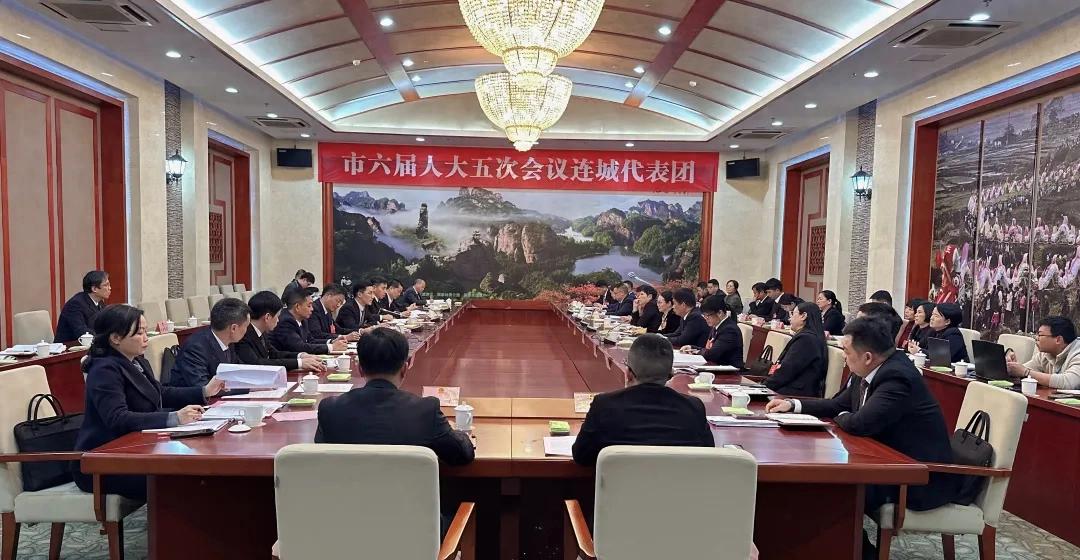 连城代表团审议市人大常委会工作报告和市法院、市检察院工作报告