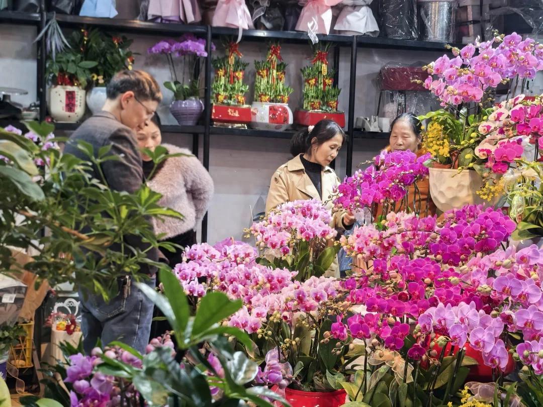 【网络中国节·春节】连城：新春市场年味浓