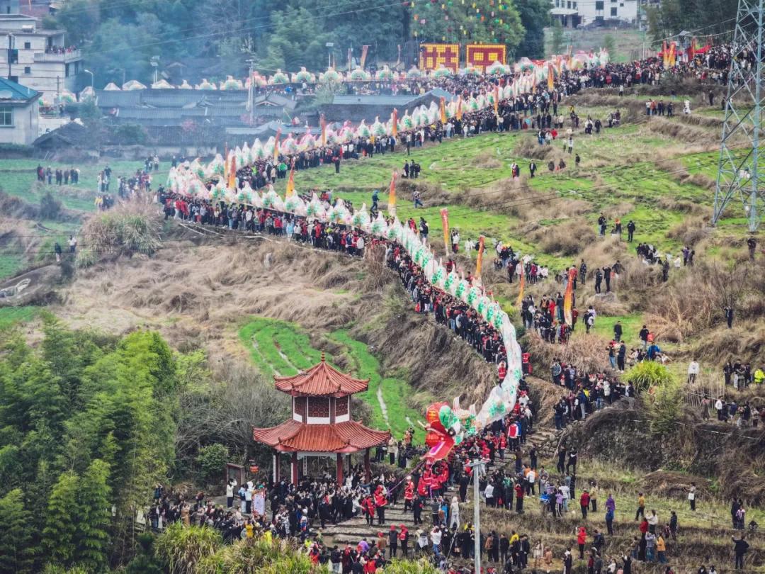 火出圈！连城姑田大龙登抖音热搜，累计关注度超八百万