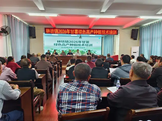 林坊镇举办2026年甘薯绿色高产种植技术培训