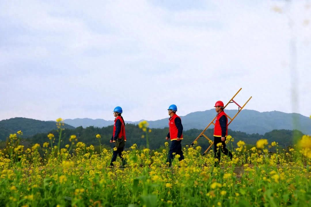 国网连城县供电公司：电力添彩 古村文旅春更浓