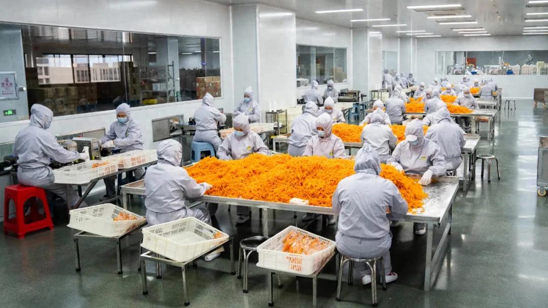 【工业经济提质增量】谋项目 强招商 优创新，连城奋力建设工业强县