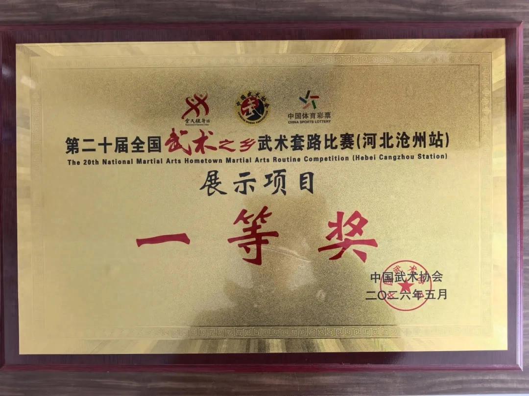 武耀沧州 载誉而归！连城武术健儿征战全国赛事斩获3金9银14铜