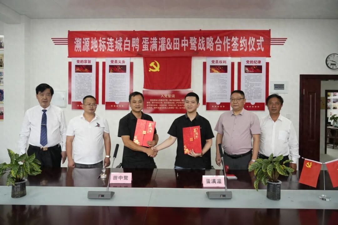 山海牵线铺富路 白鸭飘香进鹭岛——连城优质白鸭蛋直供厦门连锁餐饮