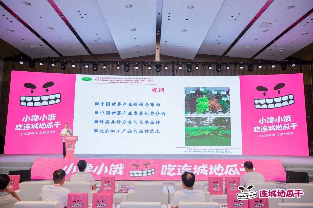 2026连城地瓜干合作伙伴大会举办