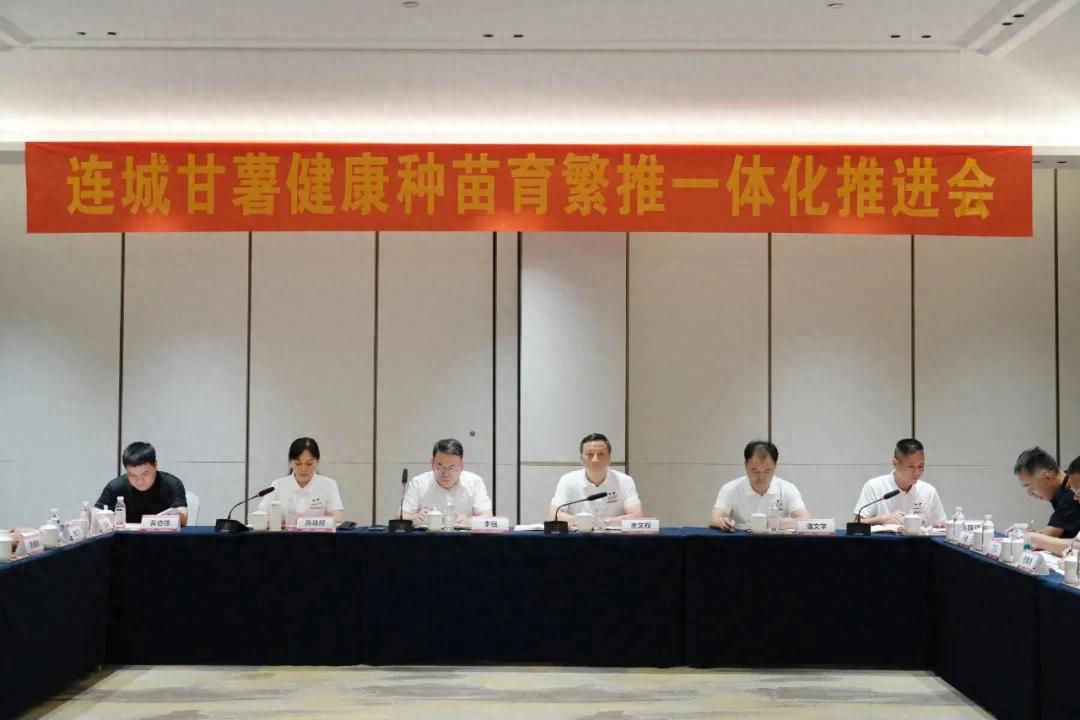 连城甘薯健康种苗育繁推一体化推进会召开